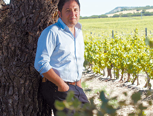 Traitement phytosanitaire de la vigne: résidus – Par ANGEL ANOCIBAR BELOQUI